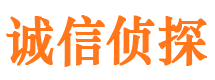 高淳市私家侦探